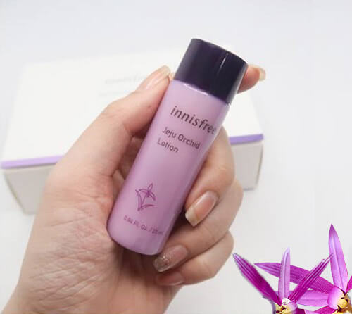 Sữa dưỡng Innisfree Jeju Orchid Lotion - bí quyết cho làn da trắng sáng tự nhiên Sữa dưỡng Innisfree Jeju Orchid Lotion - bí quyết cho làn da trắng sáng tự nhiên